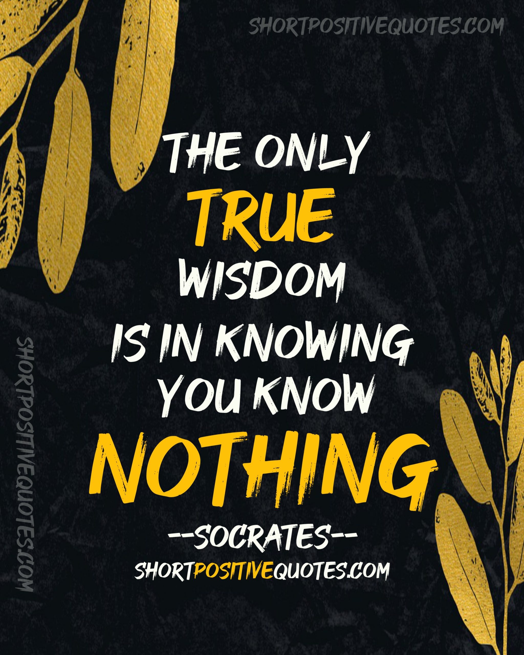 Socrates Quotes On Life, Socrates Quotes On Life After Death, Socrates Quotes On Life and Death, Socrates Quotes On Life Wisdom, Socrates Quotes On Life Wisdom & Philosophy to Inspire You, Socrates Quotes On The Good Life, Life Quotes, Socrates Quotes , Short Positive Quotes , Quotes on Life,